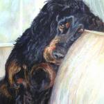 Geordie
Not for Sale 
this is an example of my custom 
pet portraits 